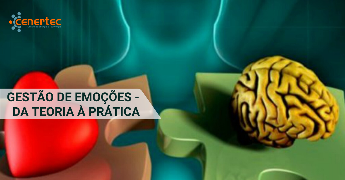 Gestão de Emoções - Da Teoria à Prática