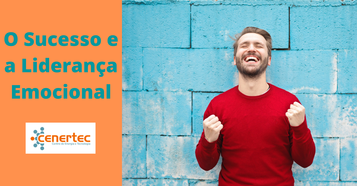 O SUCESSO E A LIDERANÇA EMOCIONAL