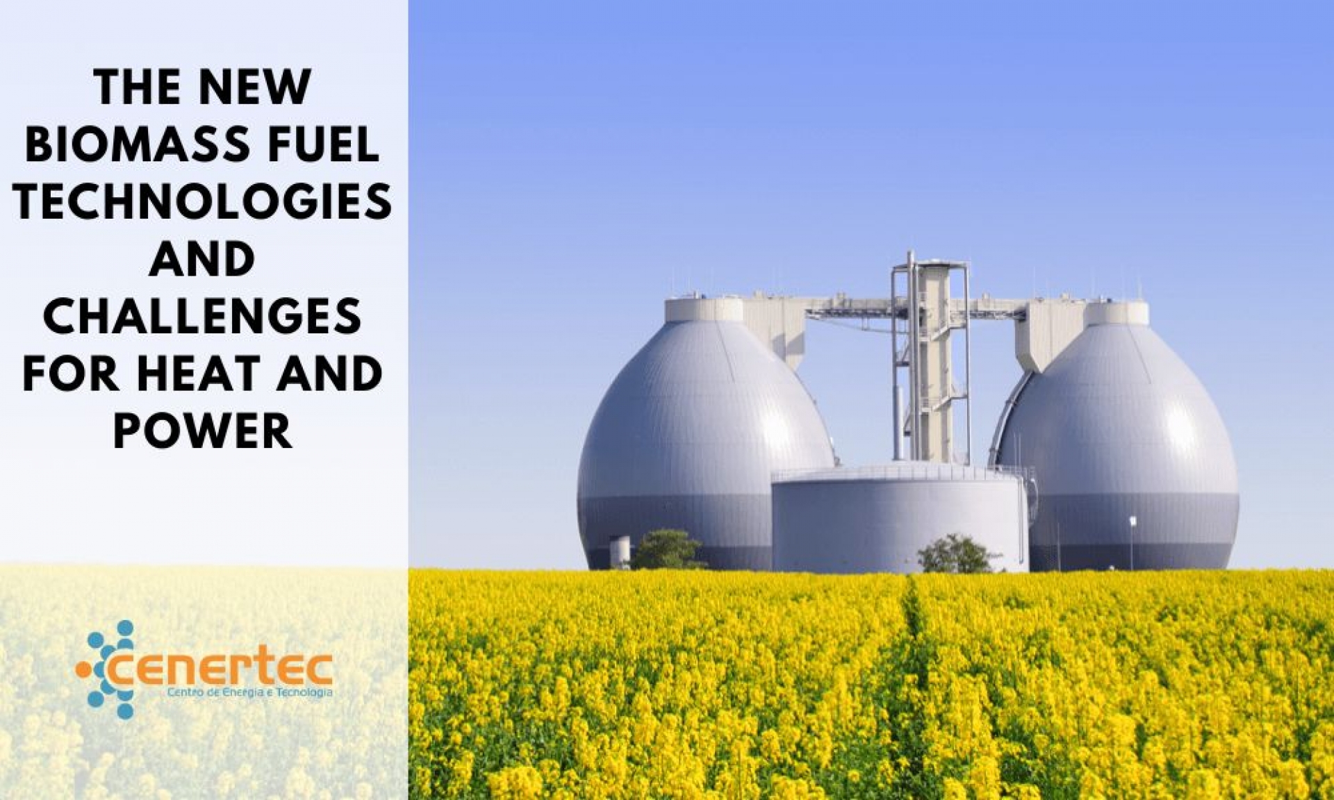 The New Biomass Fuel Technologies and Challenges for Heat and Power