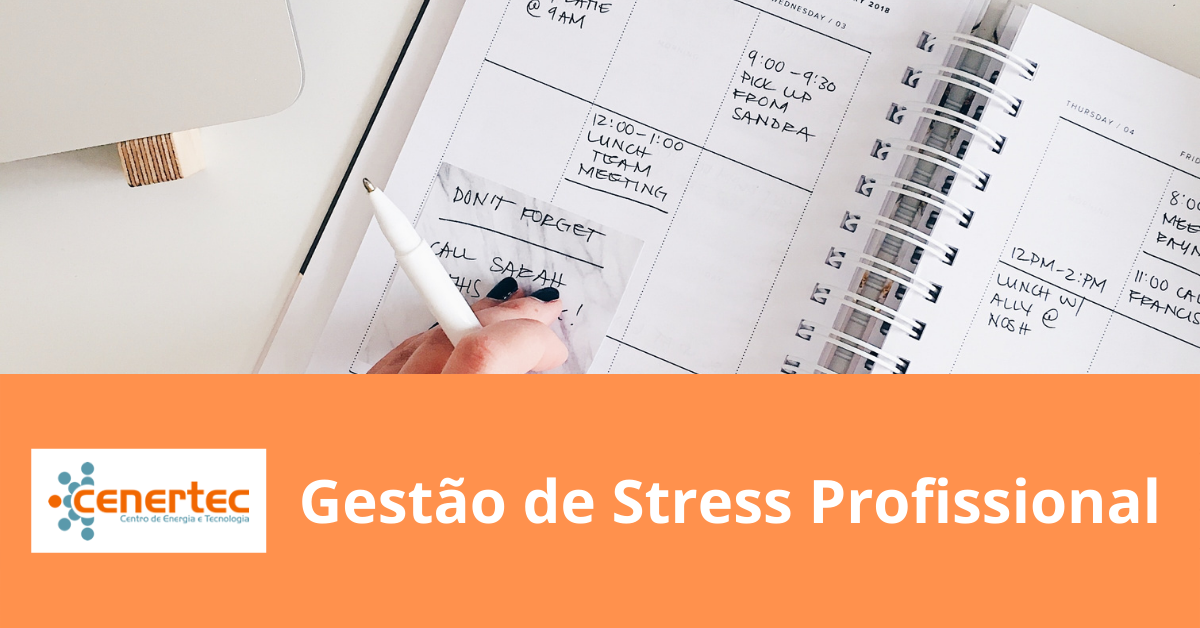 Gestão de Stress Profissional