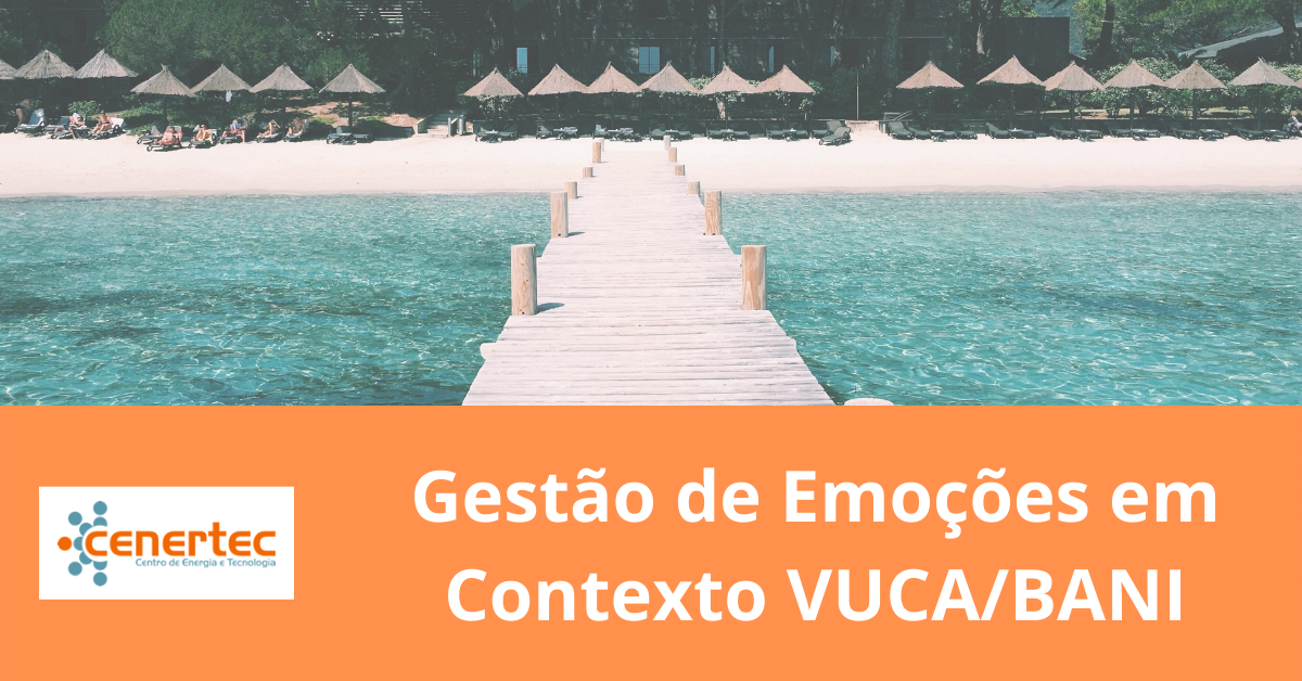 Gestão de Emoções em Contexto VUCA/BANI