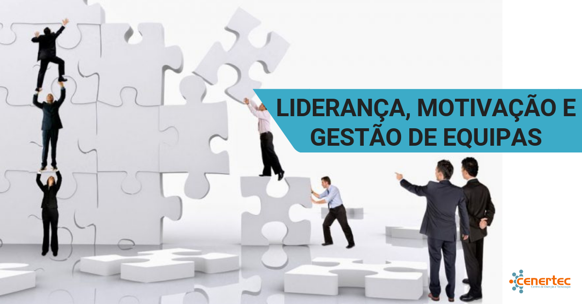 Liderança, Motivação e Gestão de Equipas (Seminário)