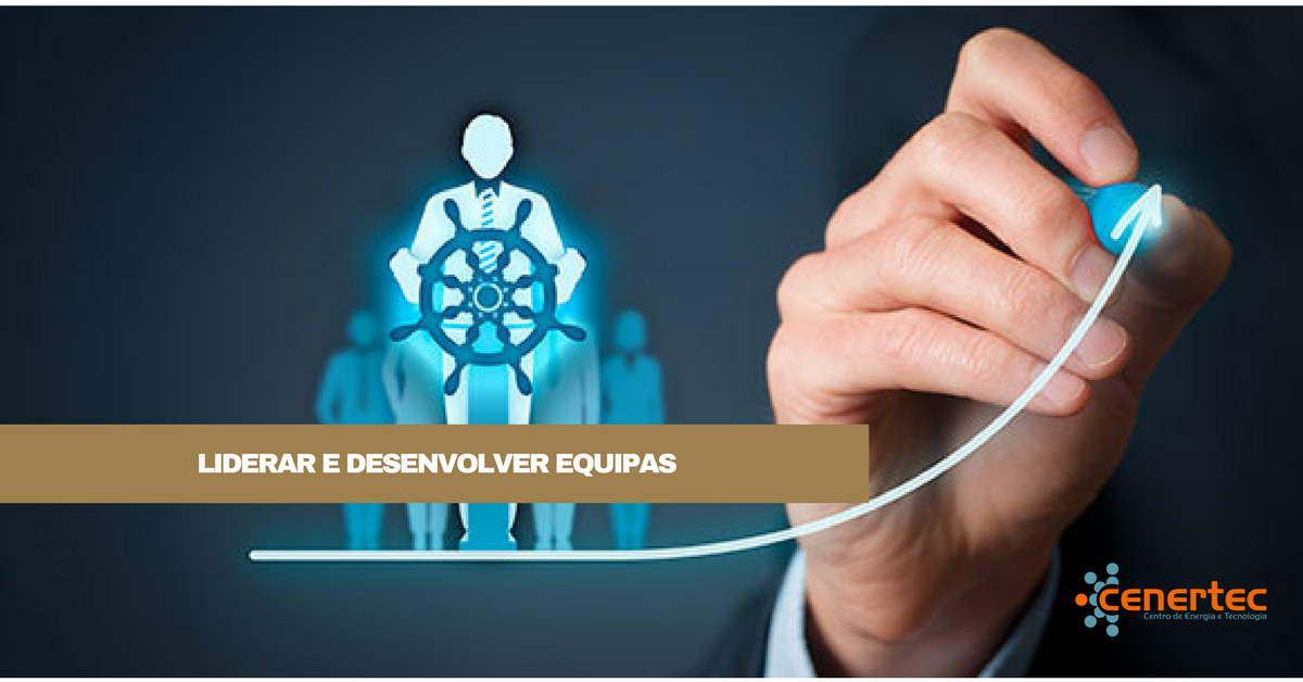 Liderar e Desenvolver Equipas