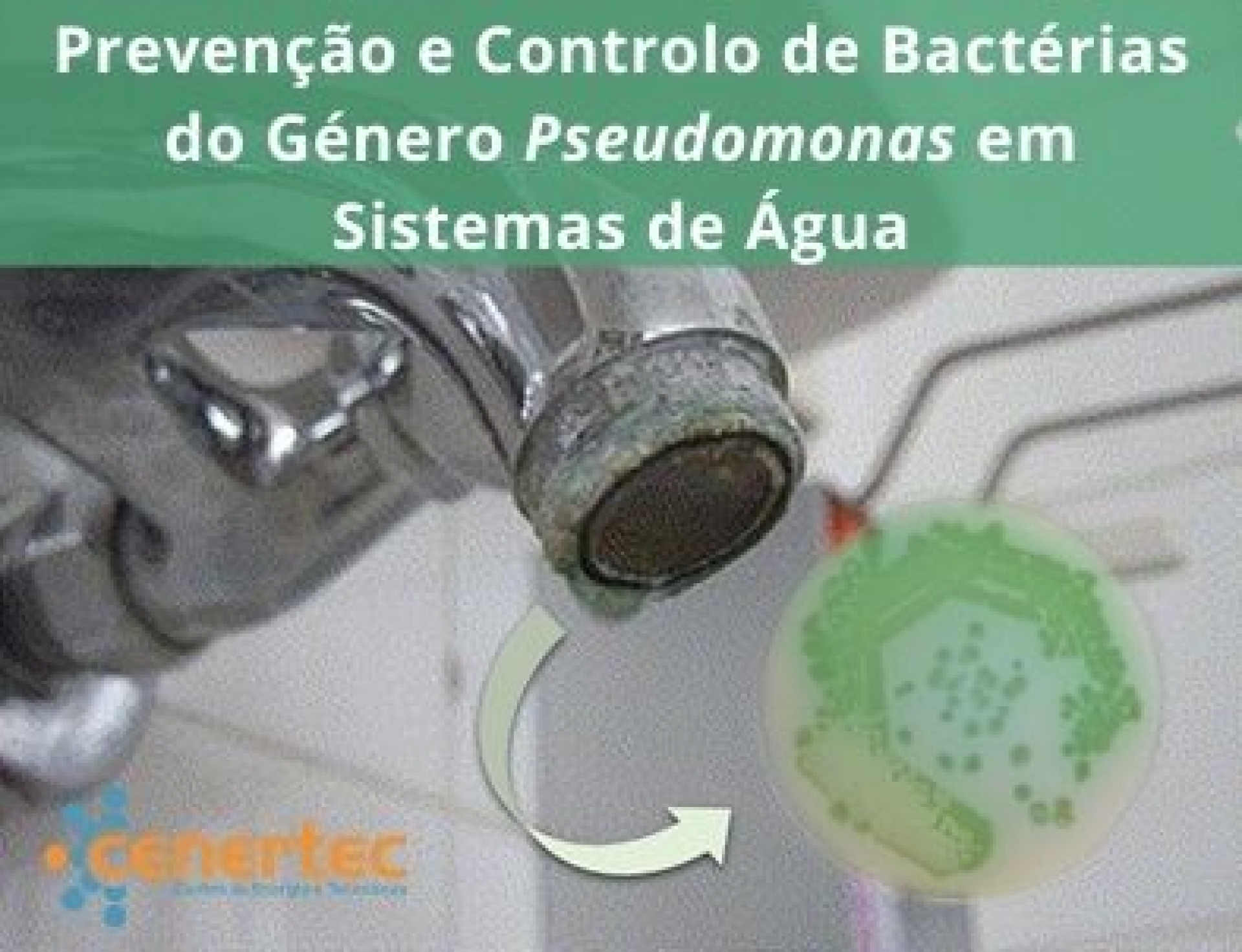 Prevenção e Controlo de Bactérias do Género Pseudomonas em Sistemas de Água