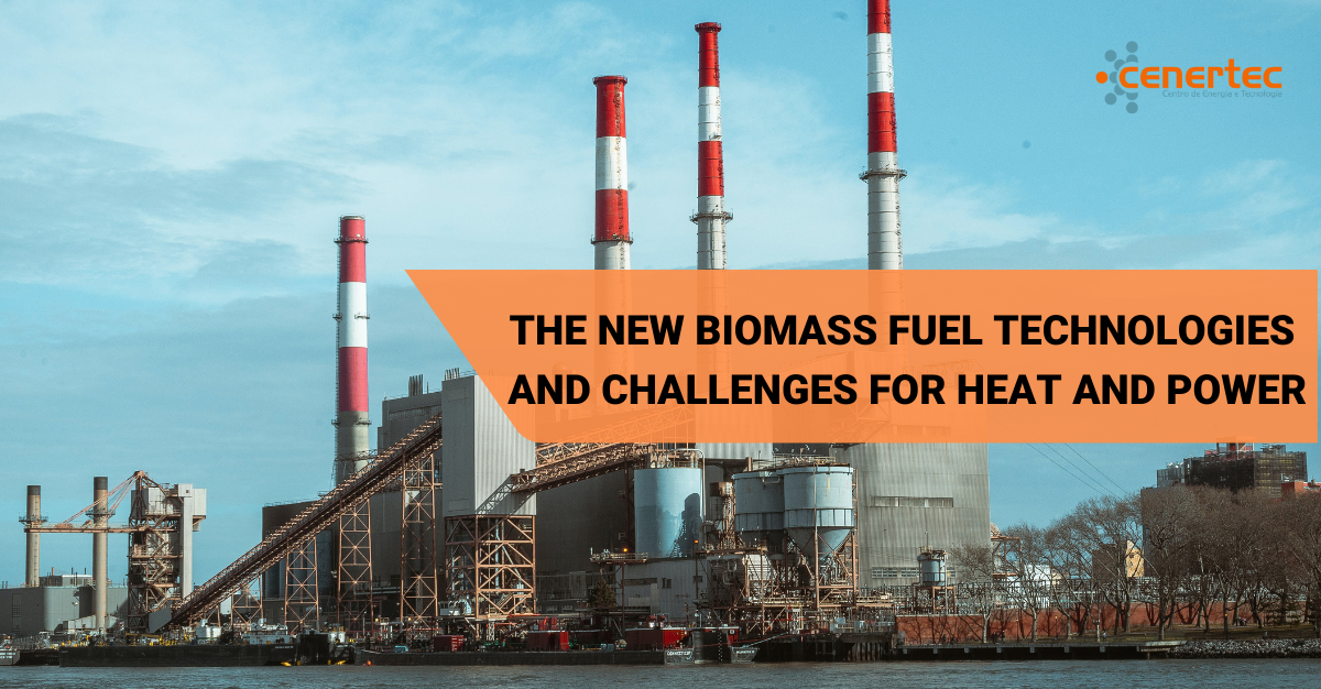 The New Biomass Fuel Technologies and Challenges for Heat and Power (Duplicado)