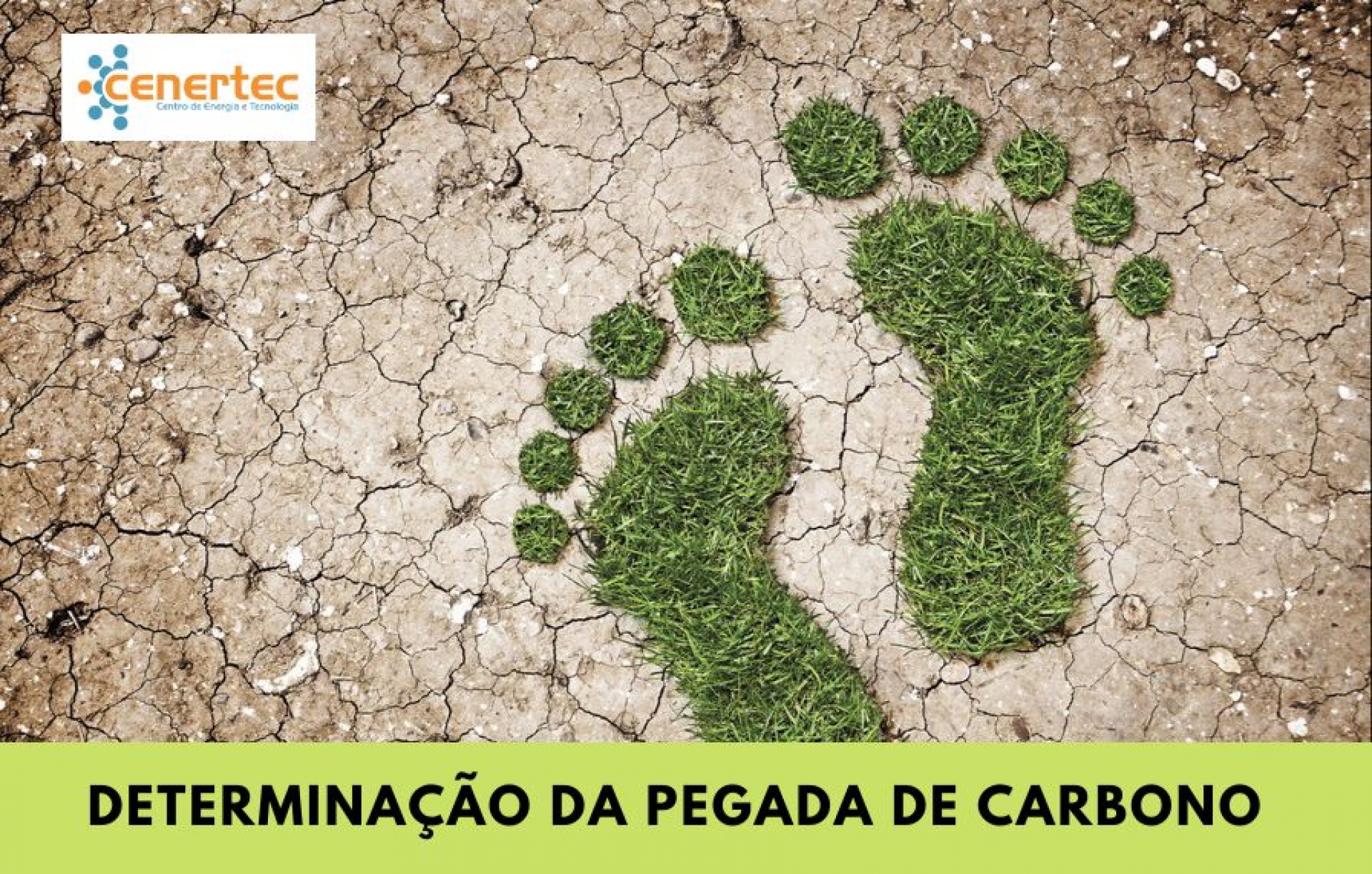 Determinação da Pegada de Carbono