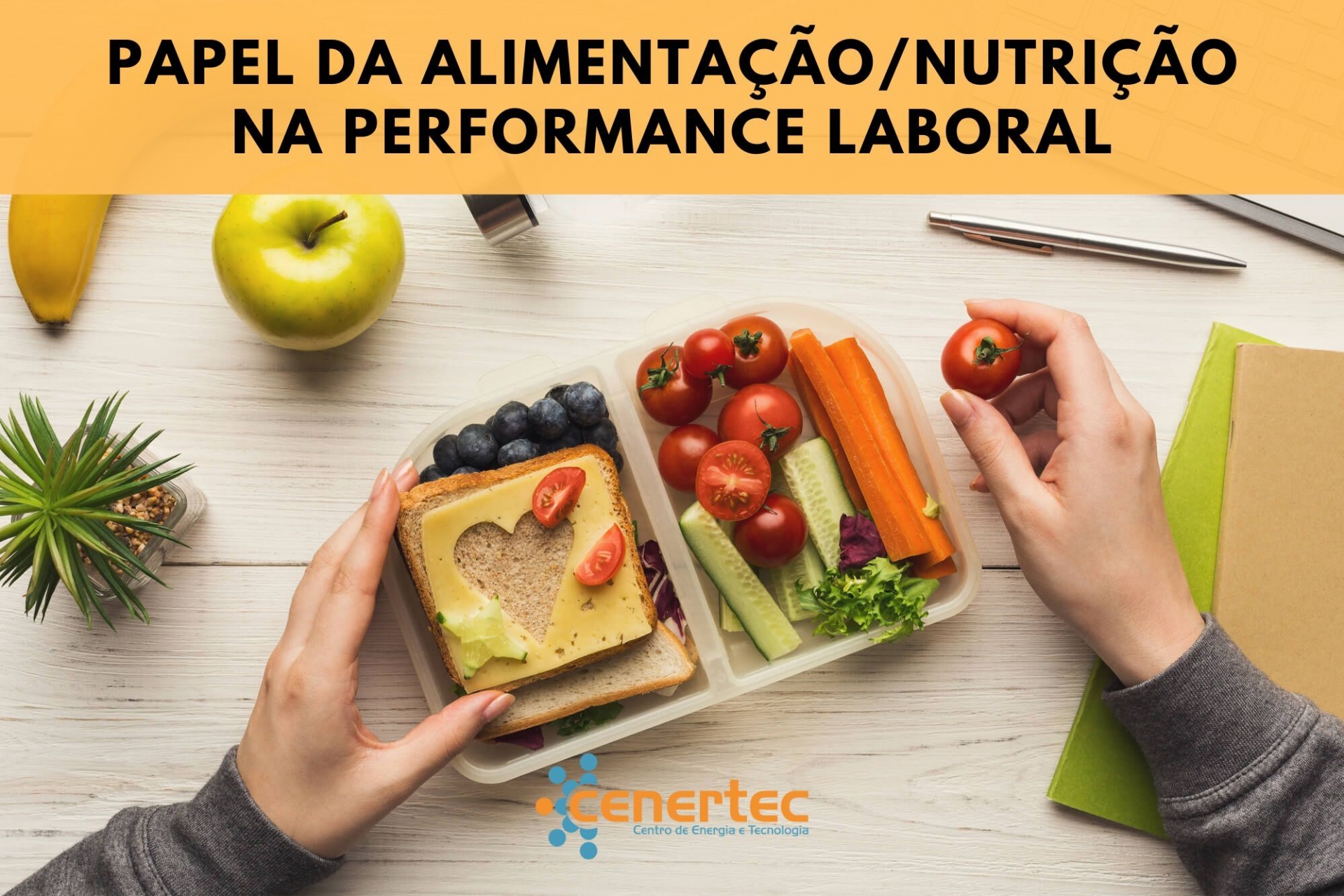 Papel da Alimentação/Nutrição na Performance Laboral