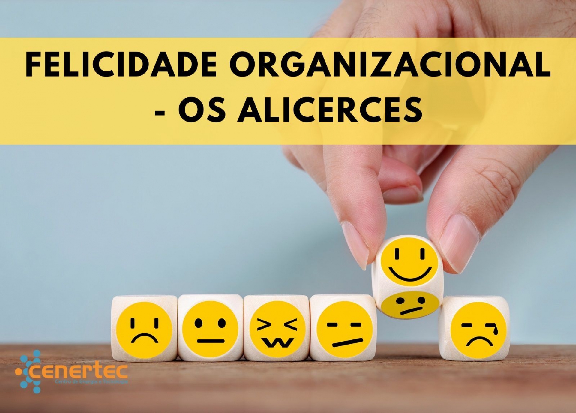 Felicidade Organizacional - Os Alicerces