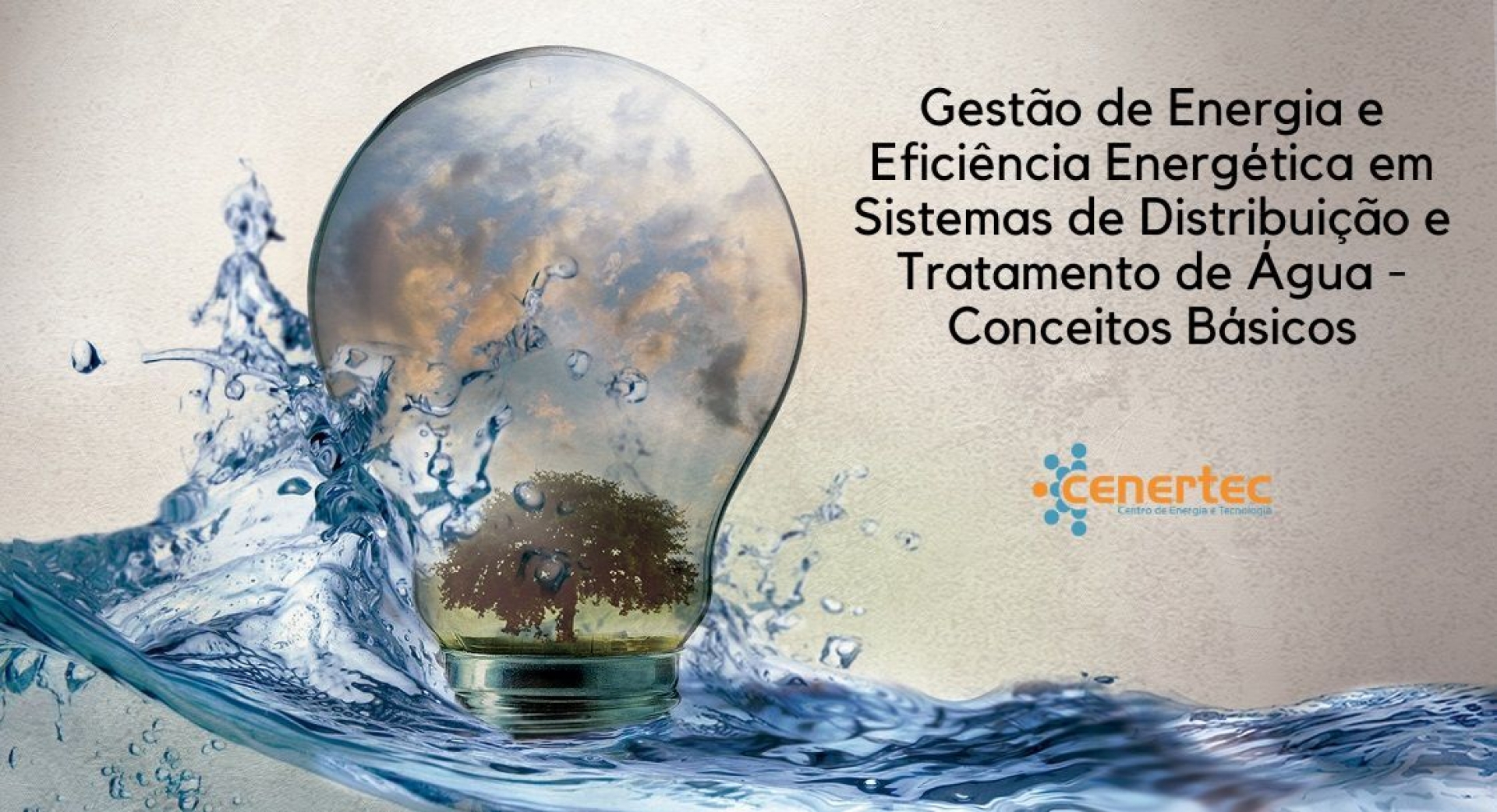 Gestão de Energia e Eficiência Energética em Sistemas de Distribuição e Tratamento de Água - Conceitos Básicos