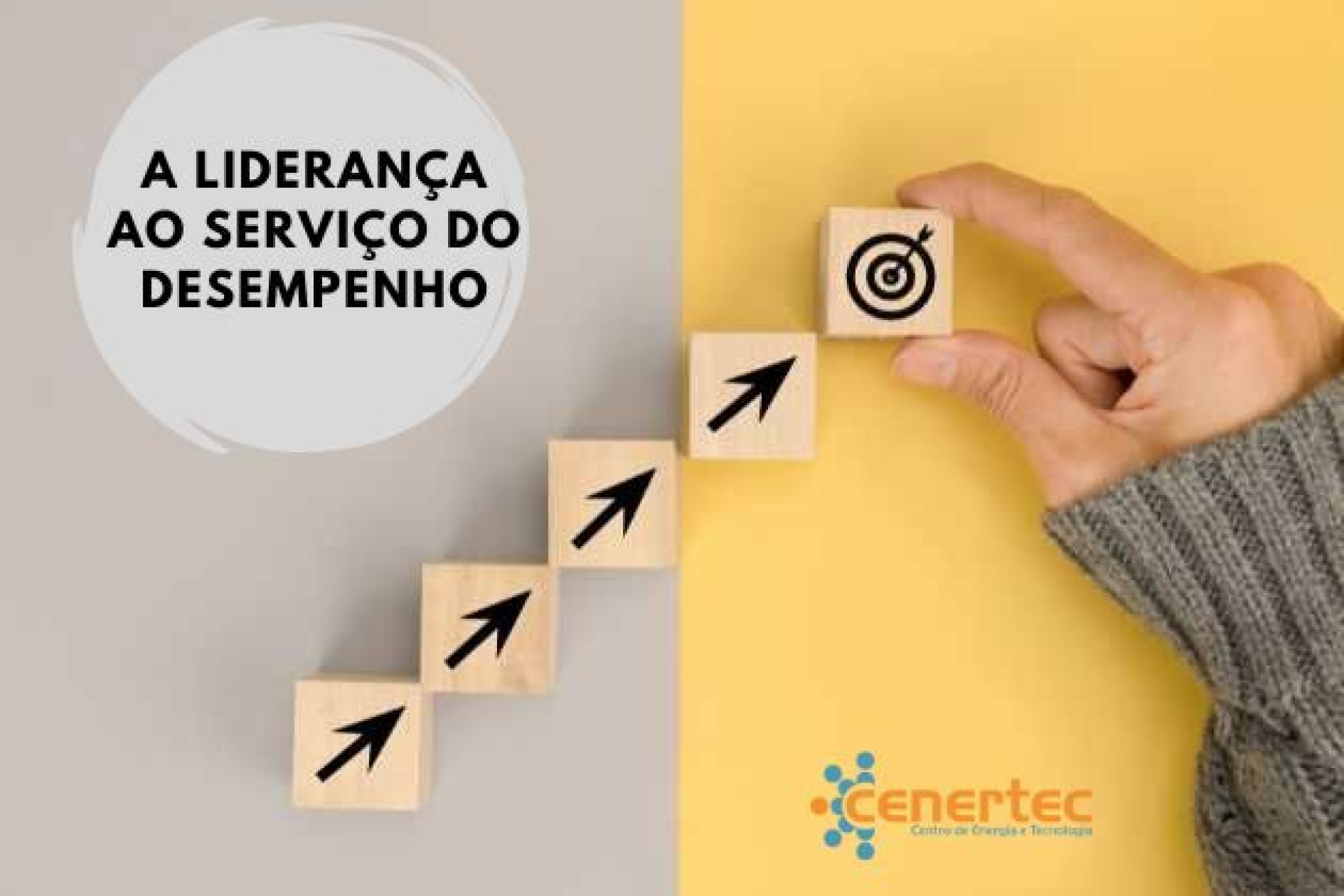 A Liderança ao Serviço do Desempenho