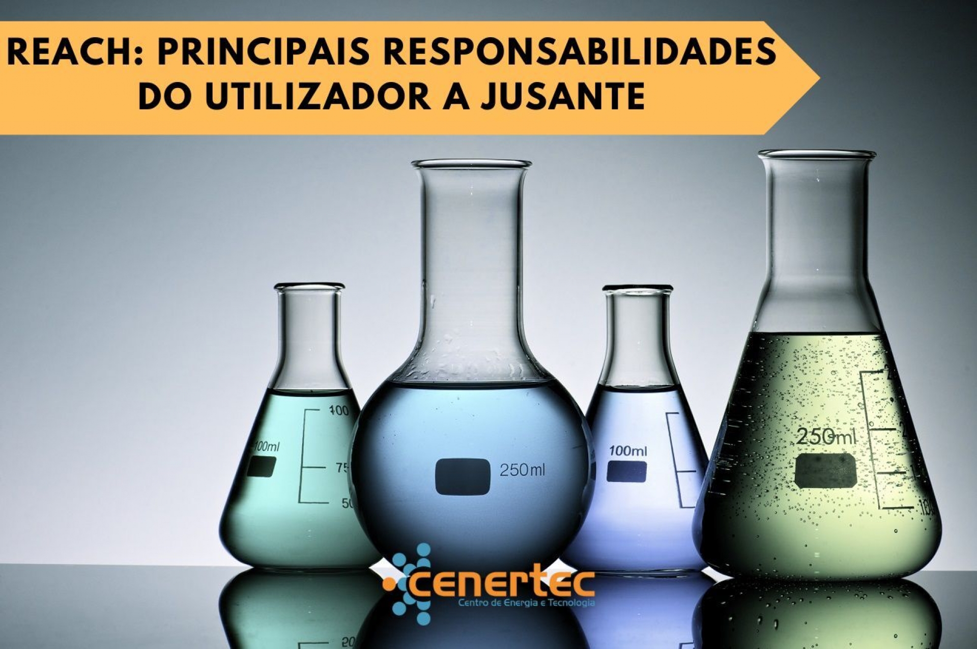 REACH: Principais Responsabilidades do Utilizador a Jusante