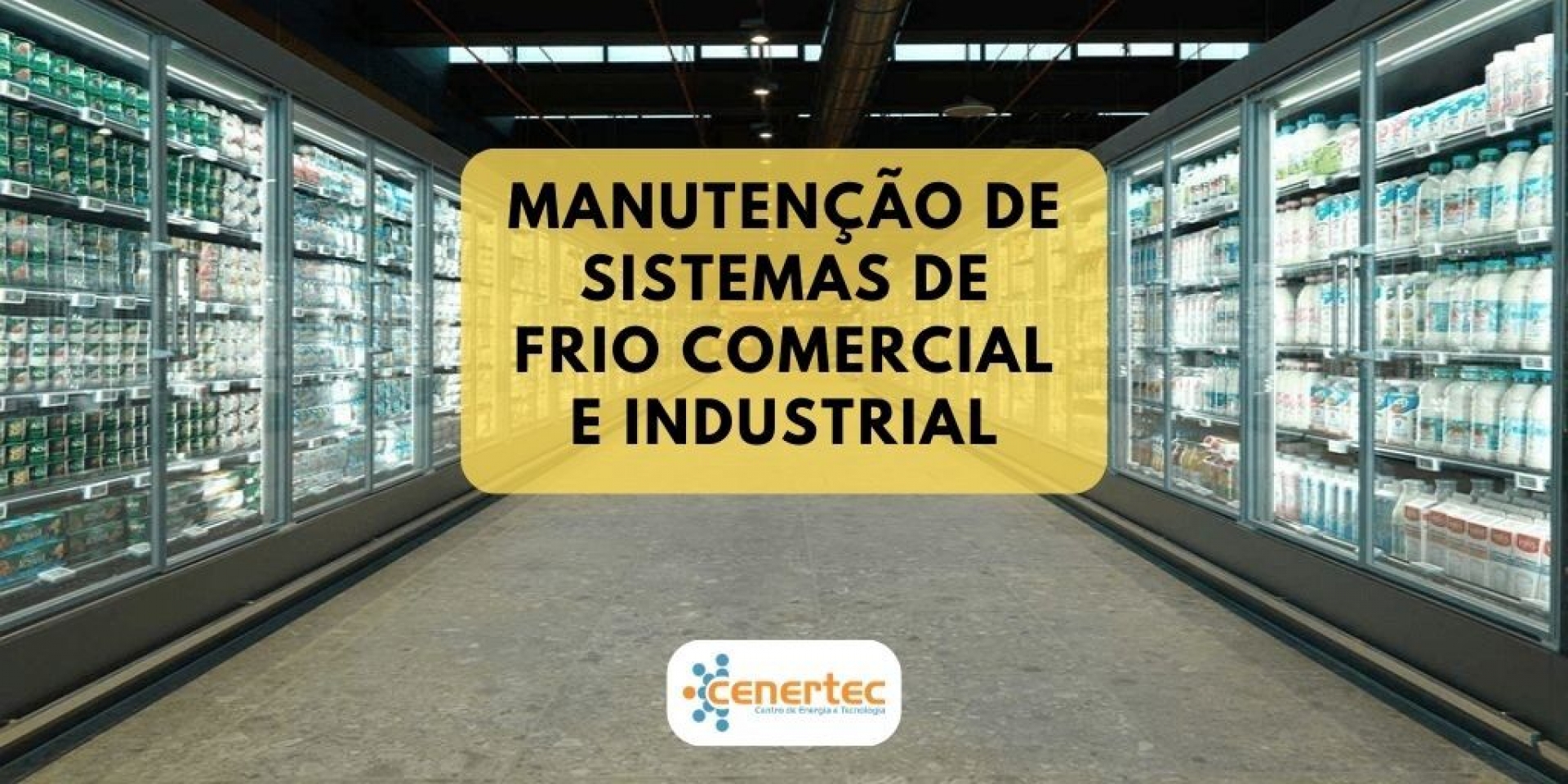 Manutenção de Sistemas de Frio Comercial e Industrial