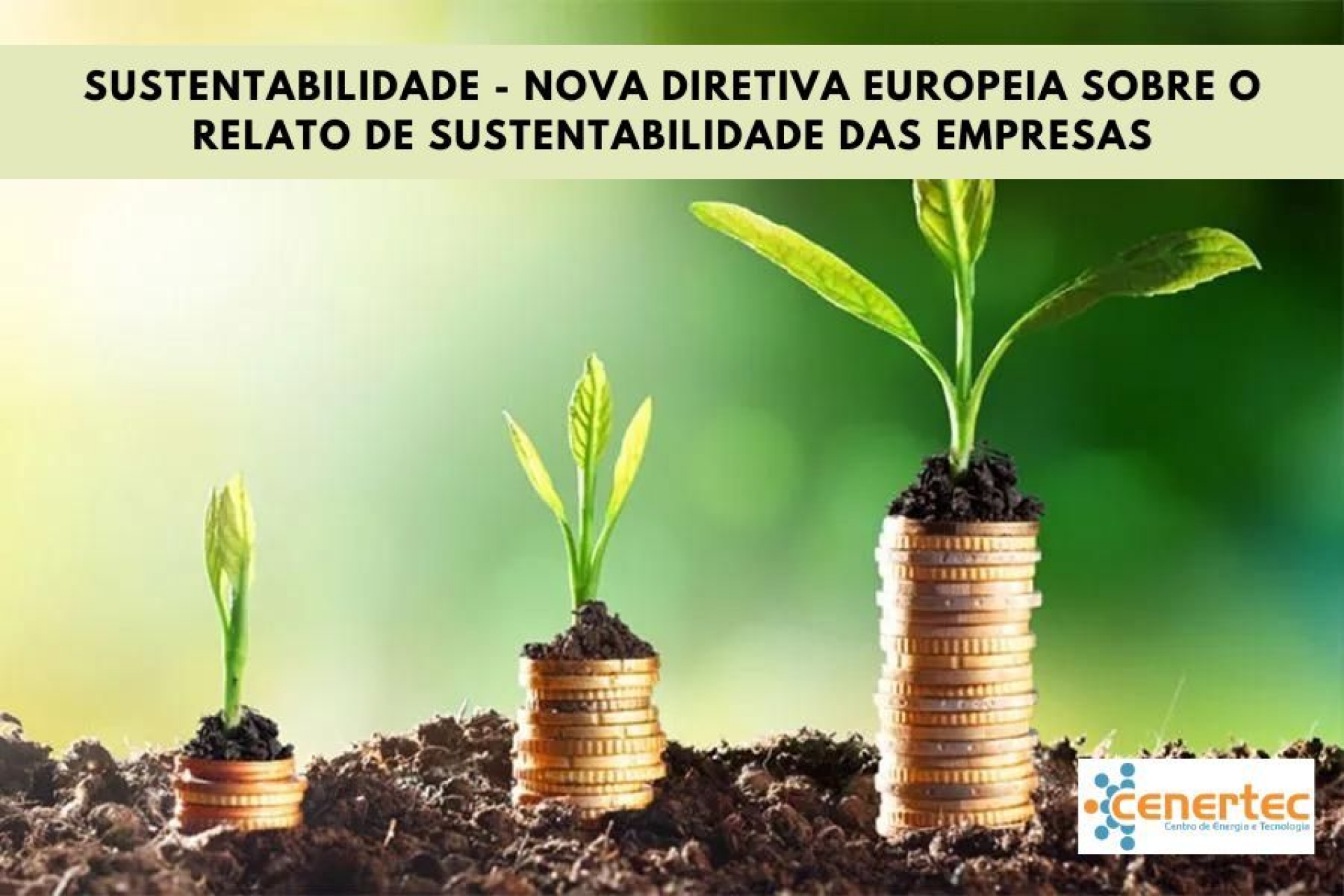 Sustentabilidade - Nova Diretiva Europeia sobre o Relato de Sustentabilidade das Empresas